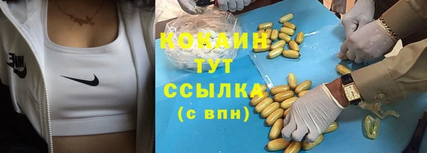 крисы Алексин