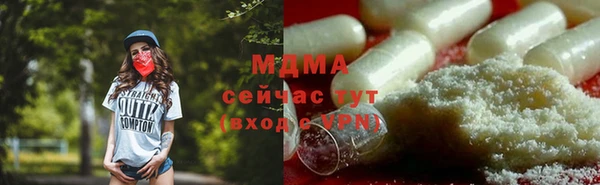 PSILOCYBIN Алзамай