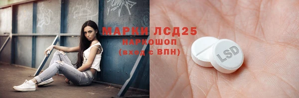 PSILOCYBIN Алзамай