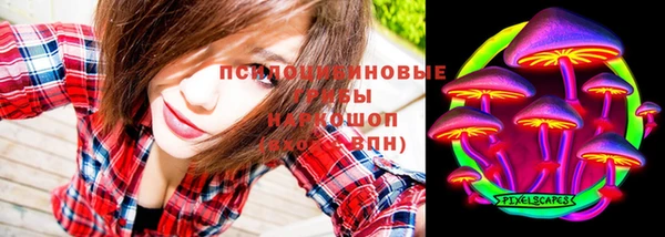 PSILOCYBIN Алзамай