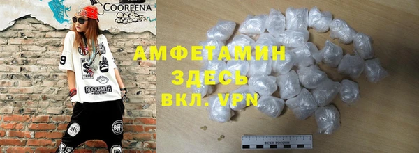 PSILOCYBIN Алзамай