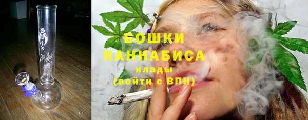 PSILOCYBIN Алзамай