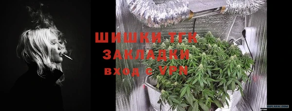 PSILOCYBIN Алзамай
